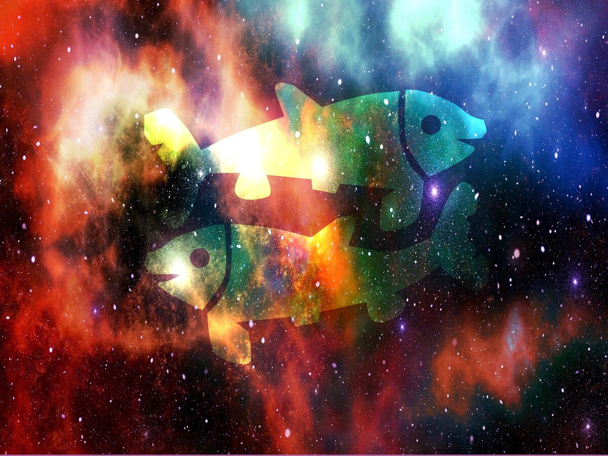 Фото мое, рыбки мои