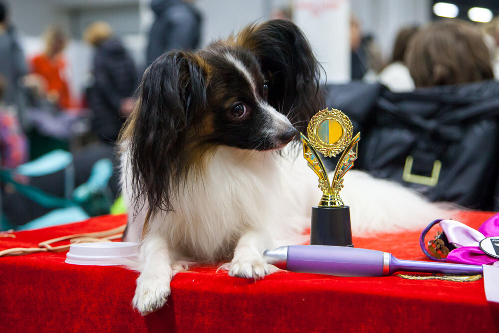 Источник фото: Яндекс картинки