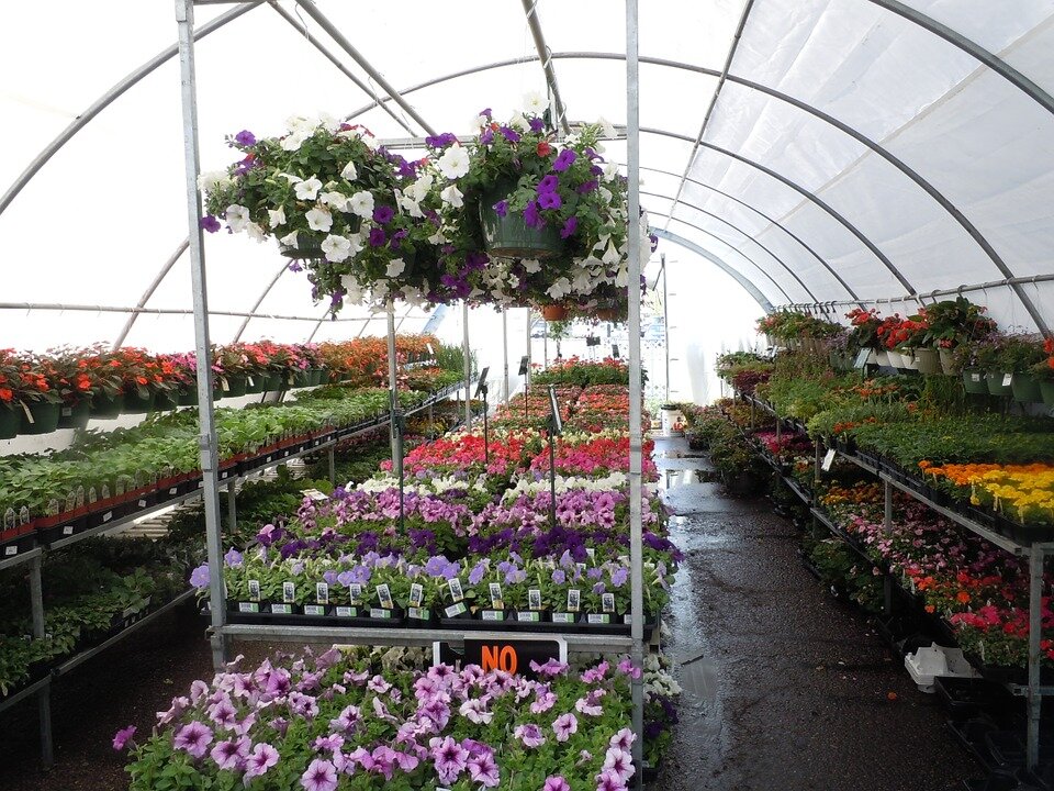 https://cdn.pixabay.com/photo/2013/07/18/19/10/flowers-164814_960_720.jpg