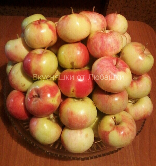 яблочный пирог, рецепт пирога, пирог из свежих яблок, рецепт шарлотки, 