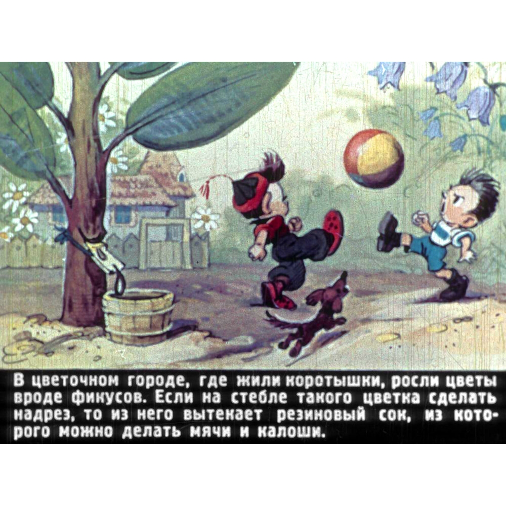 Приключения Незнайки и его друзей. Диафильм 1957 года. Художник Леонид  Владимирский. | Детские книги СССР | Дзен