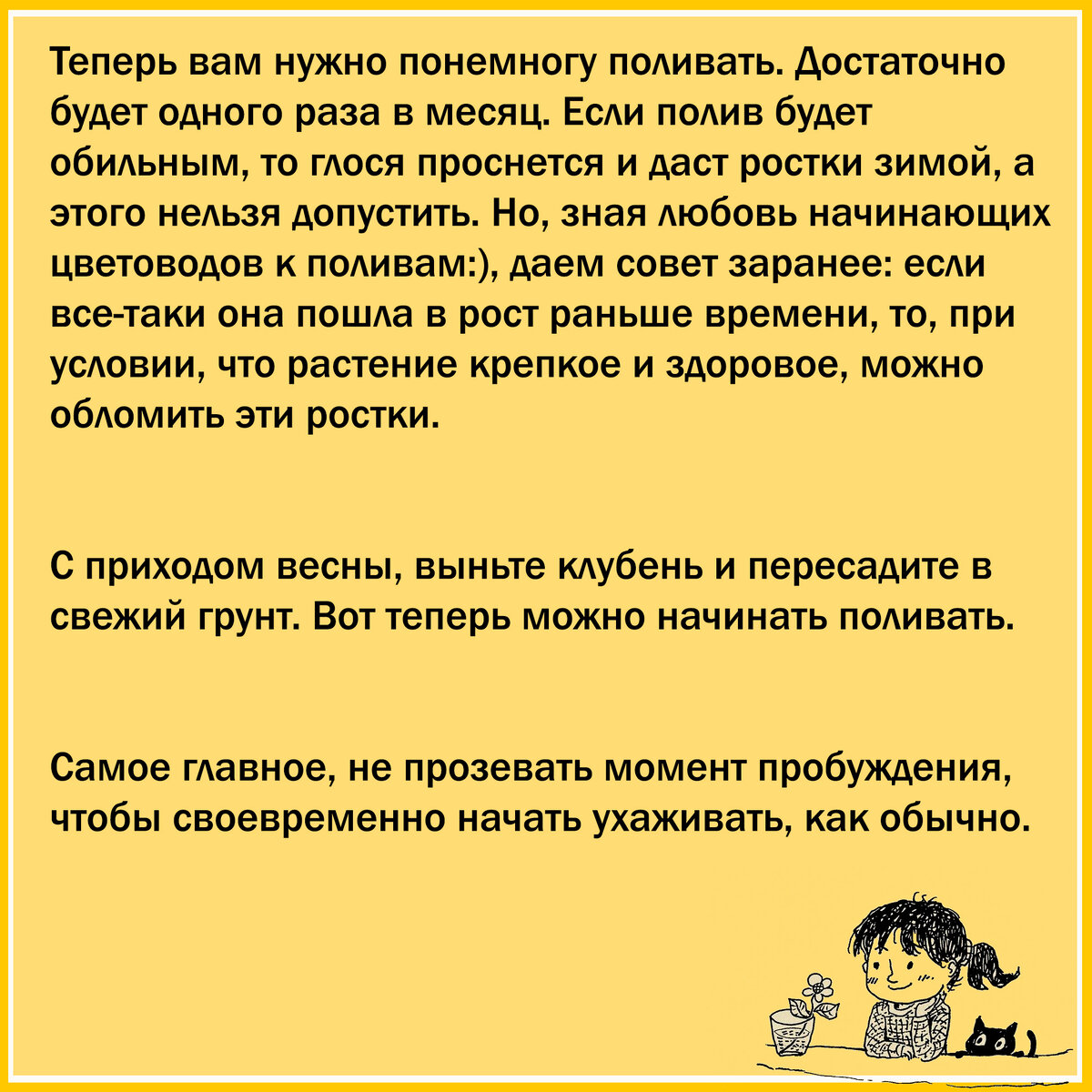 Что делать, если глоксиния плохо растет или остановилась в росте.