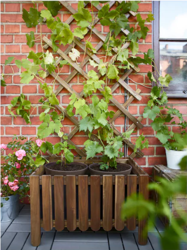                                                      Фото сайта       https://www.ikea.com/