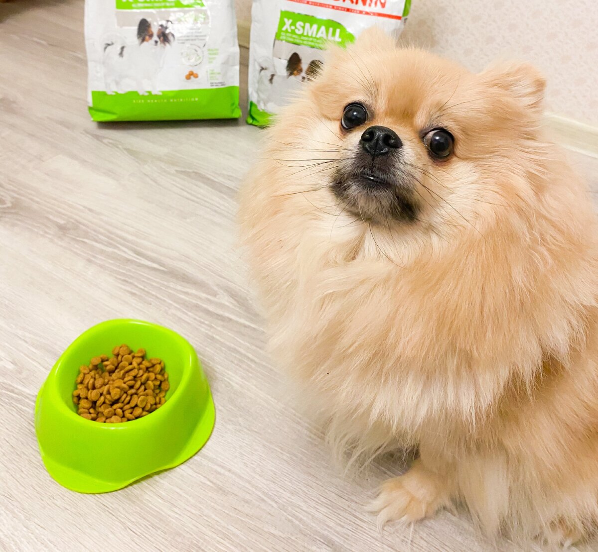 Такую миску щенок не сможет перевернуть. Для сухого корма подходит миска и из пластика, а для воды лучше купить керамическую, т.к. пластик может выделять вредные вещества при длительном контакте с жидкостью.  