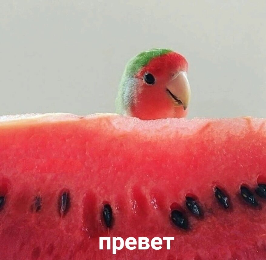 Кушай побольше фруктов, собирай витамины в это непростое время, не имеет значения какой вирус и какие обстоятельства , витамины нужны любому организму, пройдите этот путь и научитесь чему-то новому)