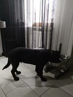 Красиво жить не запретишь. Фото автора.