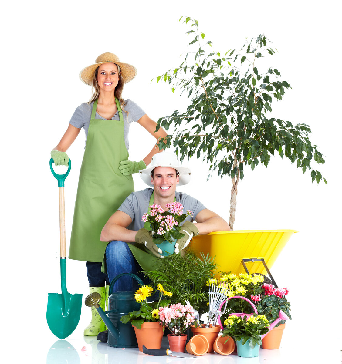 Дачник бел. Фермер. Дачник 60 белый ( для каркасных парников). Дачник бел. Тыква 400 кг.