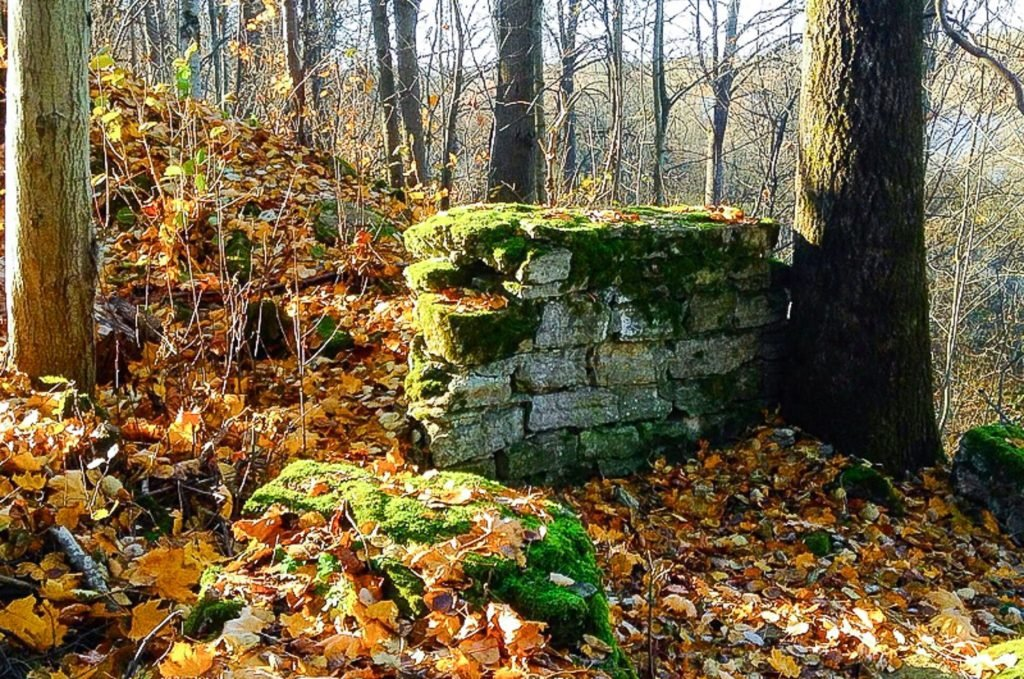 Любшанская крепость: история крепости у Старой Ладоге, фото, описание