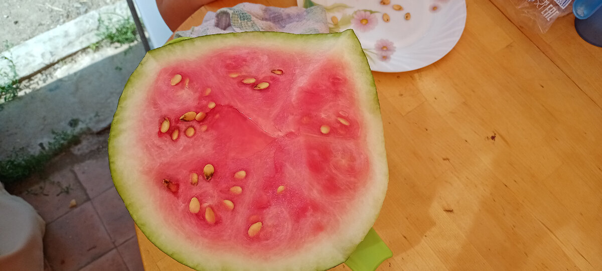 Наш арбуз 9 кг, купленный в Адыгее по цене 15 килограммового.