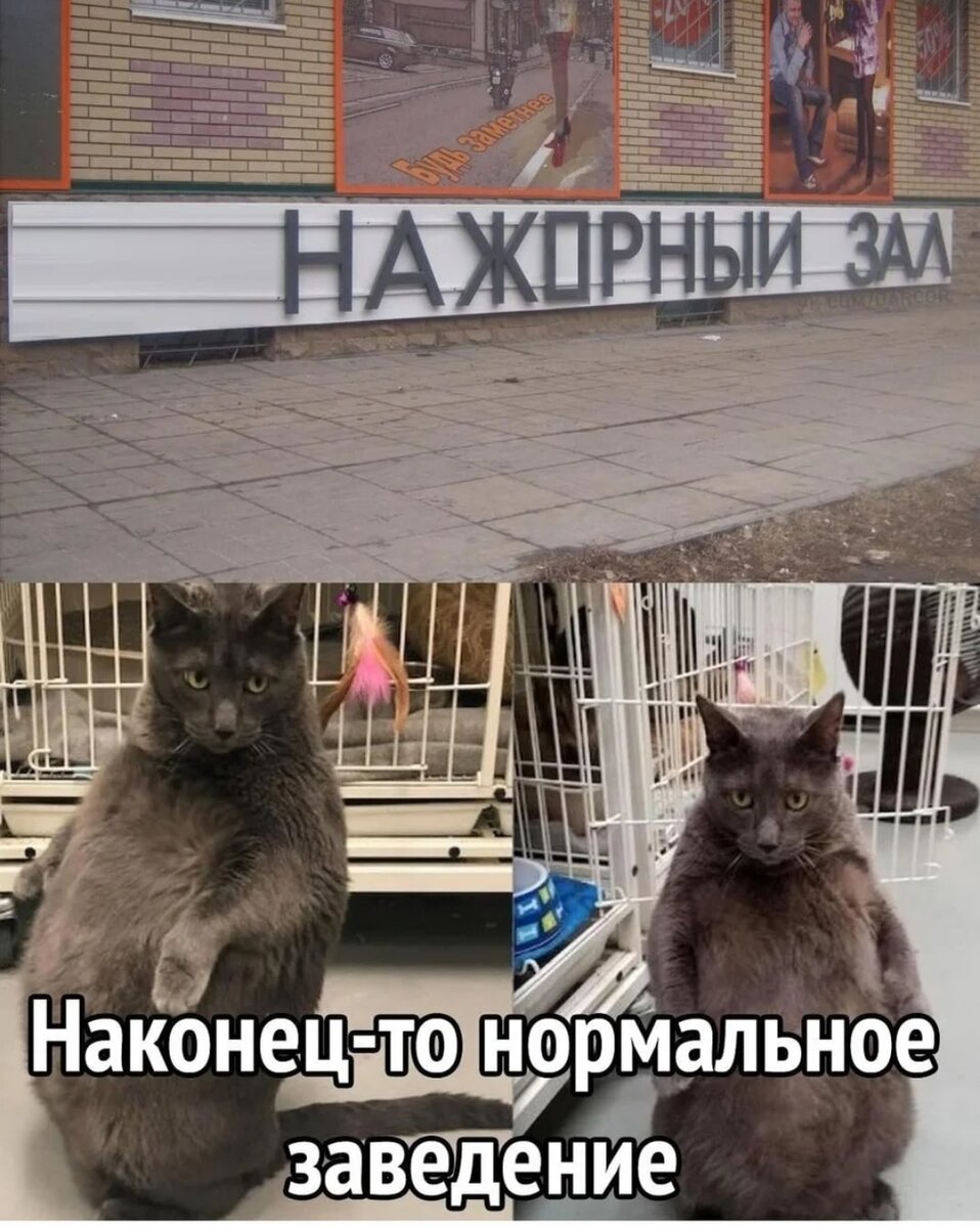 Картинка их открытых источников в интернете