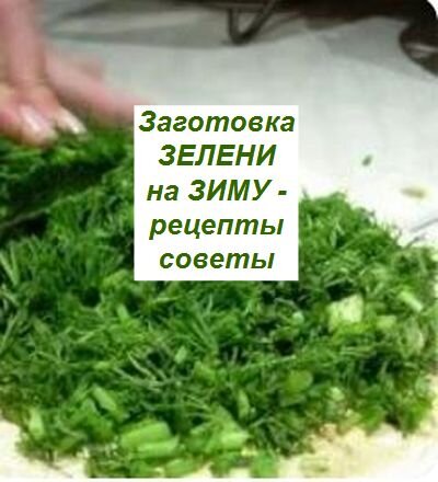 как заготовить зелень на зиму