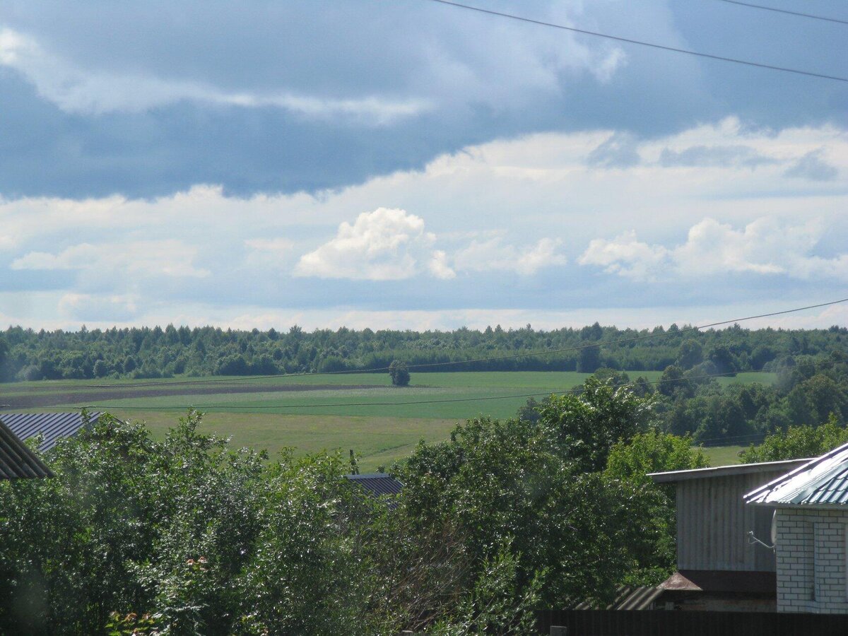 Поле за деревней