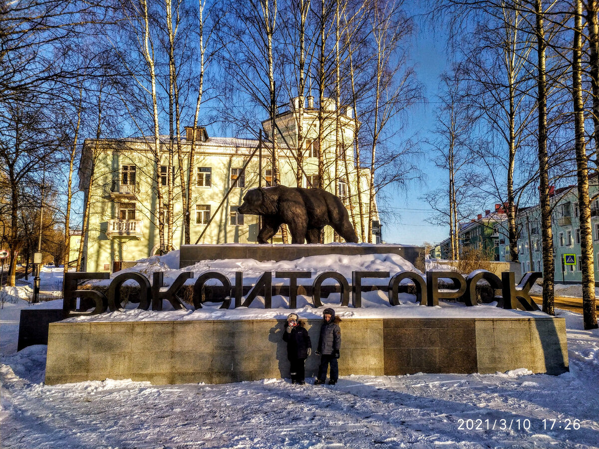 Бокситогорский медведь.