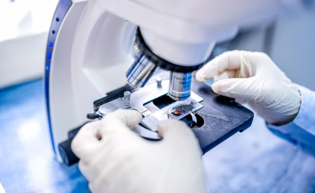 Изучение гистологического материала при помощи микроскопии