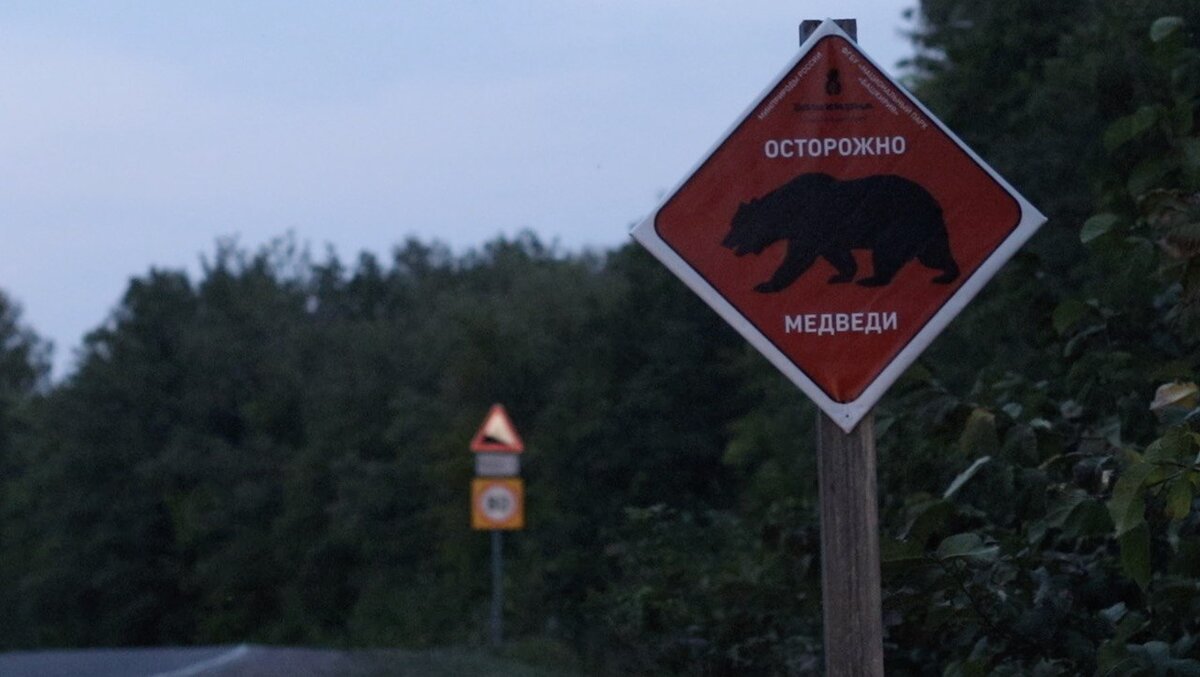 Водопад Куперля. Юмагузинское и Нугушское водохранилища. Башкирия. | Туризм  с Алёной Шефер | Дзен