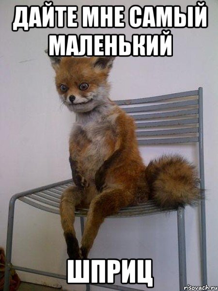 В аптечном отделе меня, видимо, именно так и представляли