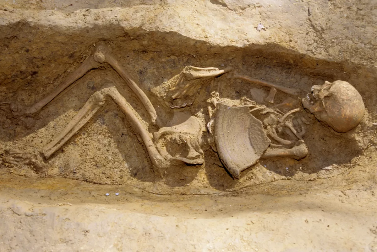 Ученые реконструировали историю парня по скелету, найденному в округе Энн Арундел, штат Мэриленд (США) под слоем пепла и бытового мусора.-2
