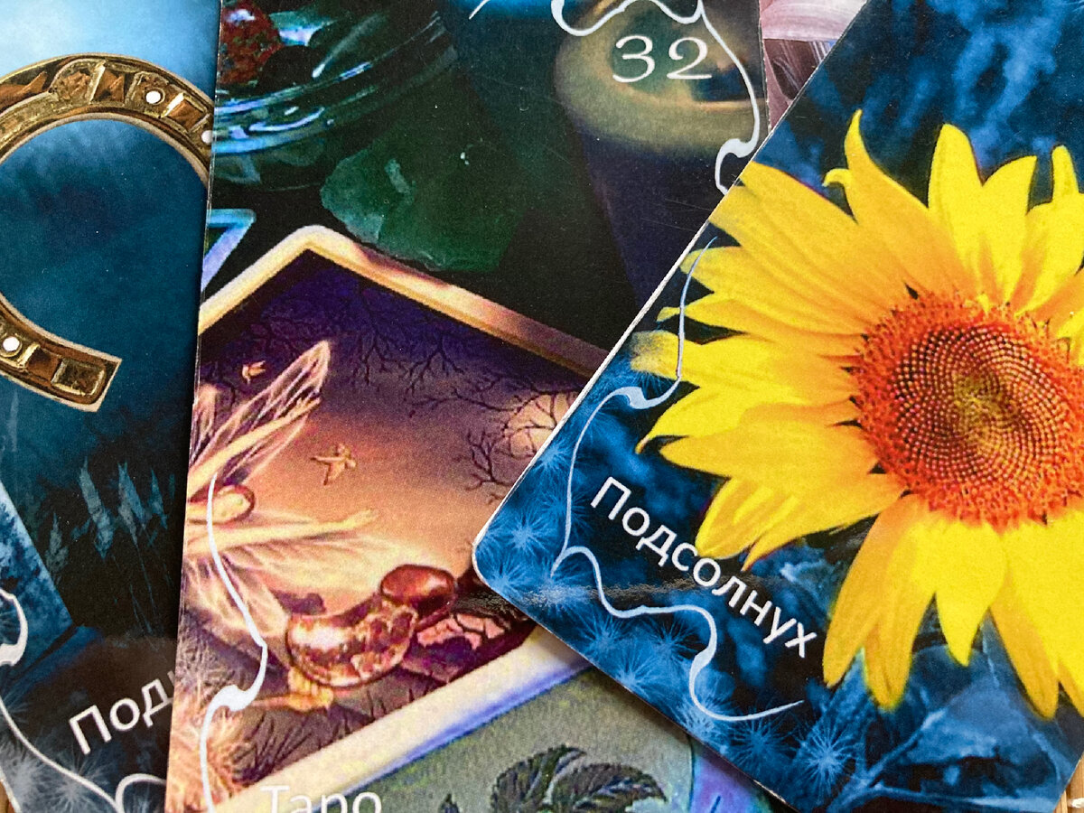 Предупреждение 