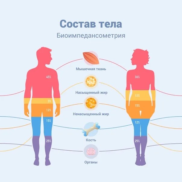 Иллюстрация из свободного доступа