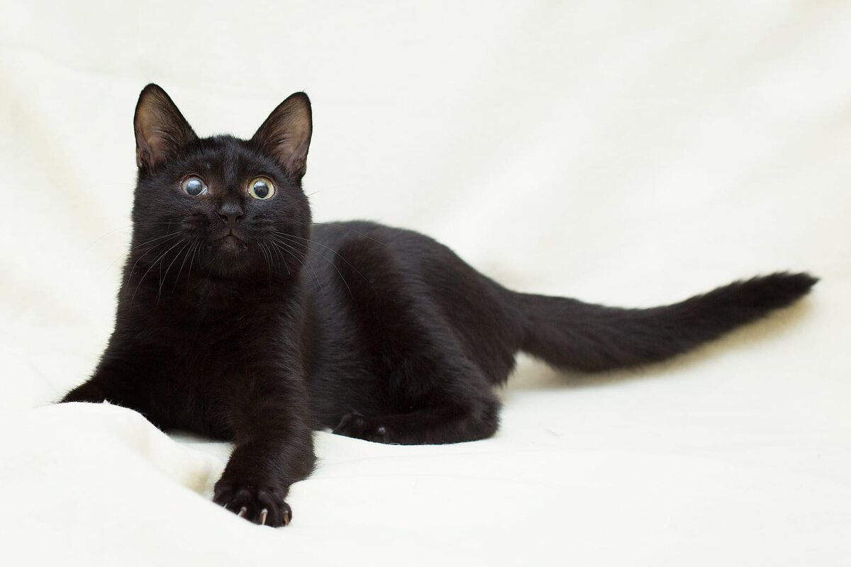 Не узнали красавчика?