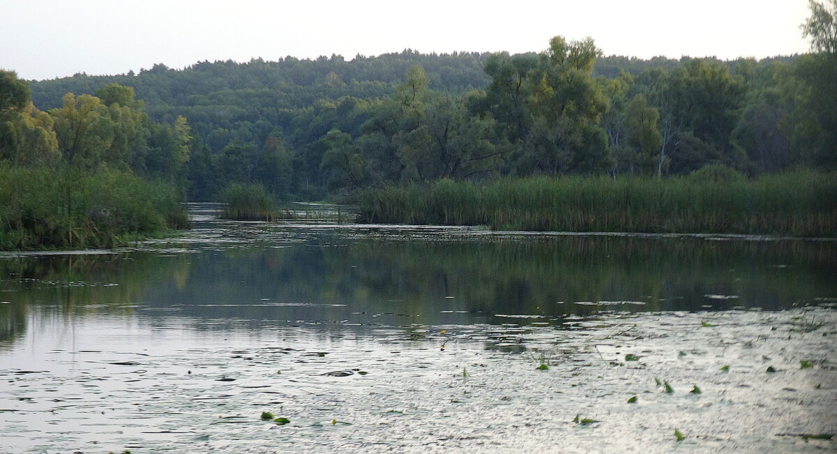 фото автора , старый приток камы