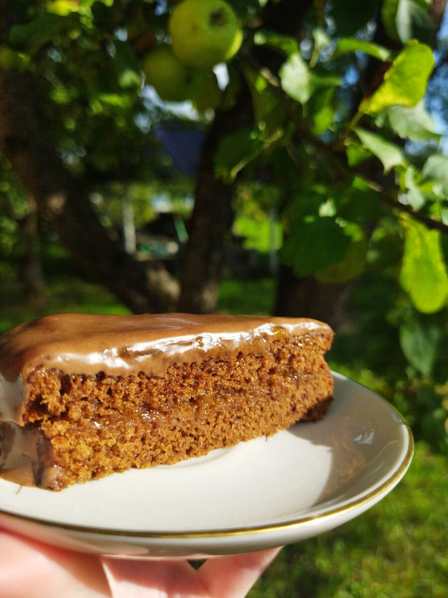 "Шоколадный" торт на кэробе