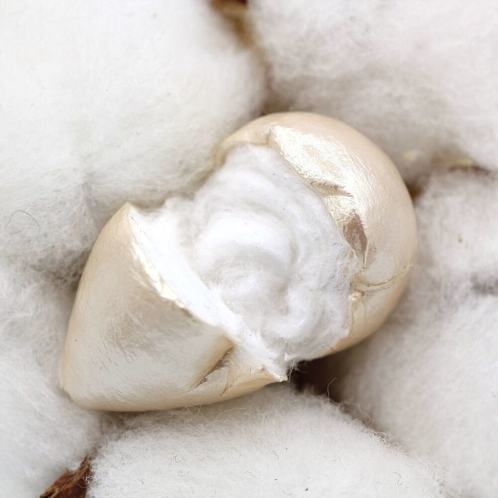 фото с просторов интернета