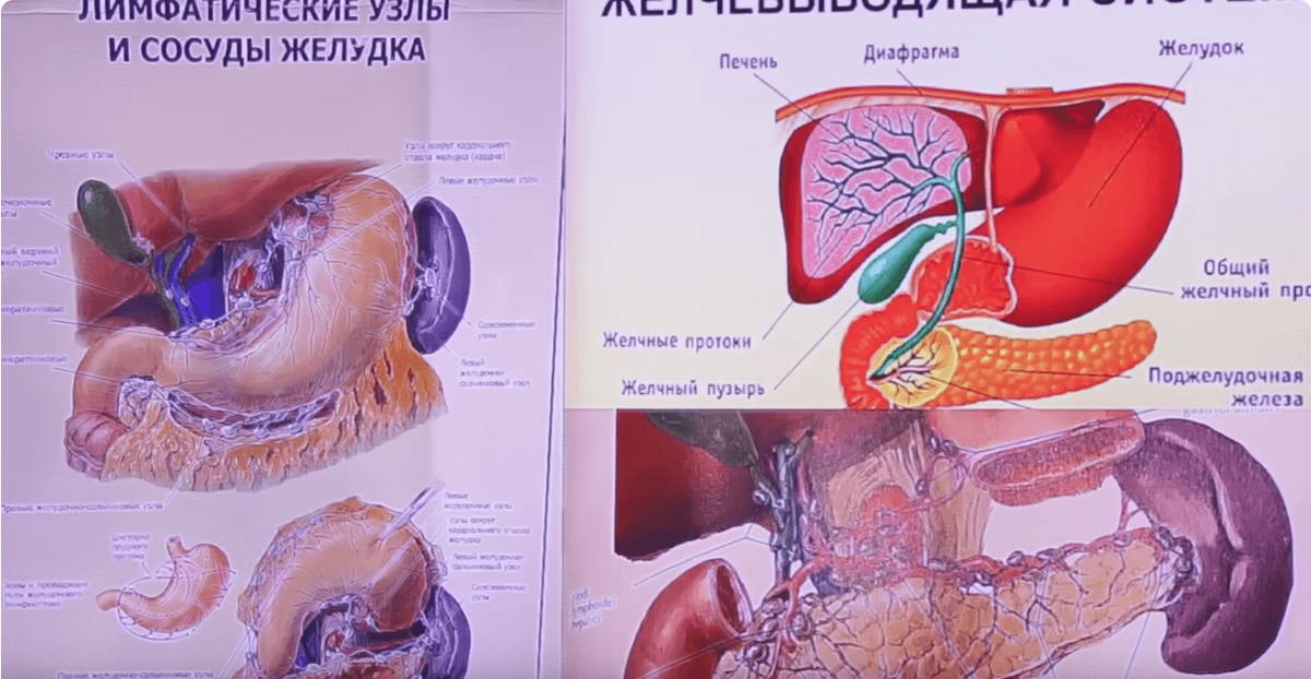 Желчный пузырь застой отзывы. Онкология поджелудочной железы. Онкология поджелудочной железы памятка. Онкология поджелудочной железы симптомы.