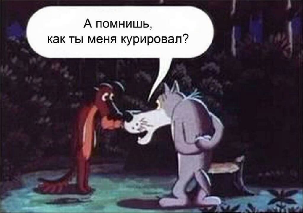 Картинка из сети