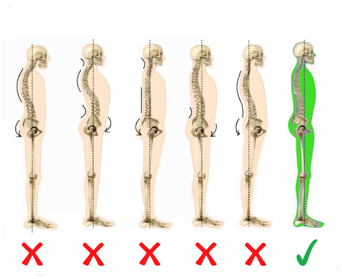 Иллюстрация примера правильной осанки