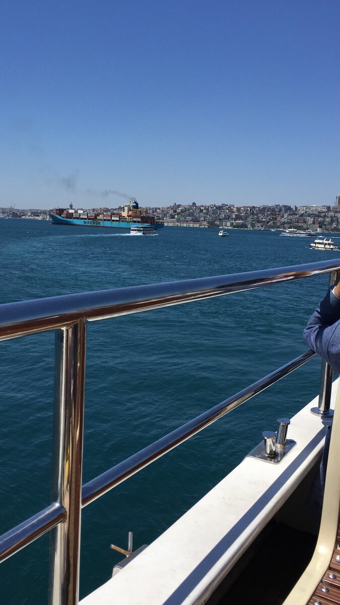 Он позвонил. С экрана телефона я увидела симпатичного мужчину, с сединой в волосах. Щетина,- как я люблю, и волосы были уложены красиво. Я тогда подумала, какой он модный и выглядит как модель, рекламирующая туалетную воду на странице журнала. Видела я его не в полный рост, но было понятно, что он высокий…  И какие у него накаченные плечи и грудь. Он поздоровался (какой приятный голос) и я поздоровалась и больше не смогла выдержать напряжения и спряталась с экрана телефона. Ничего  кроме «ес» и « окей» я выдавить не смогла… И кроме хихиканья  школьницы «бедный» Альпер ничего не услышал. Надо отдать ему должное, он держался молодцом, чувствовался поставленный голос (он читает лекции много лет), но я видела, что он тоже волнуется и голос его немного исказился из-за этого. Он благородно отнесся ко мне,- с сочувствием, сделал мне несколько комплиментов, потом показал свою квартиру. Я все это время видела его, а он меня нет. Потом он попросил показаться хоть на пару секунд. Многое, что он сказал, я не поняла,- тогда я почти не знала английский. Я исказила лицо, но показалась ему. Вот такая трусиха…  Но этого было достаточно ему, чтобы понять, что я нравлюсь ему.
После разговора я была счастлива как ребенок, потому, что он мне понравился. Я влюбилась! Да, я влюбилась! Я позвонила подруге, чтобы сказать, что я влюбилась!
Но перед этим мы вцепились в телефоны и начали усердно переписываться. Эмоции были через край, счастье, солнце, весна! Как это было прекрасно. Он сказал, что я ему очень понравилась с первой секунды, потом он об этом говорил много раз, при личной встрече… Я тоже сказала о своей симпатии, но сделала это очень сдержанно, все счастье я «вылила» на подругу потом.
После этого звонка мы стали планировать нашу встречу. В июле должен был быть мой день рожденья, и он пригласил отпраздновать его в Стамбуле. Через несколько дней я купила билеты на самолет.
После этого у нас обоих началась бессонница в предвкушении встречи. Мы очень волновались и ждали этой даты.  Альпер каждый день считал дни до встречи. Каждое утро мы просыпались в 4-5 утра и не могли заснуть, и так было каждый день. У меня к тому же пропал аппетит и я начала терять вес от волнения.
Однажды он снова попросил позвонить мне, и это испортило ожидание встречи…
