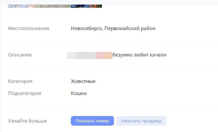 ФОТО: СКРИНШОТ С САЙТА ОБЪЯВЛЕНИЙ
