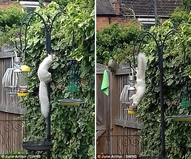 -2
