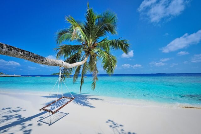 
А в голове бьется одна мысль: «Хочу туда!» И действительно, если надо отрешиться от дел и проблем, отдохнуть душой, телом и глазами, то лучше Мальдив места не придумать.
А единожды там побывав , вы будете возвращаться снова и снова……….