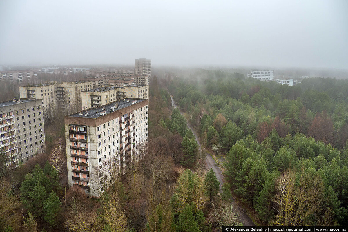 Припять мертвый город фото