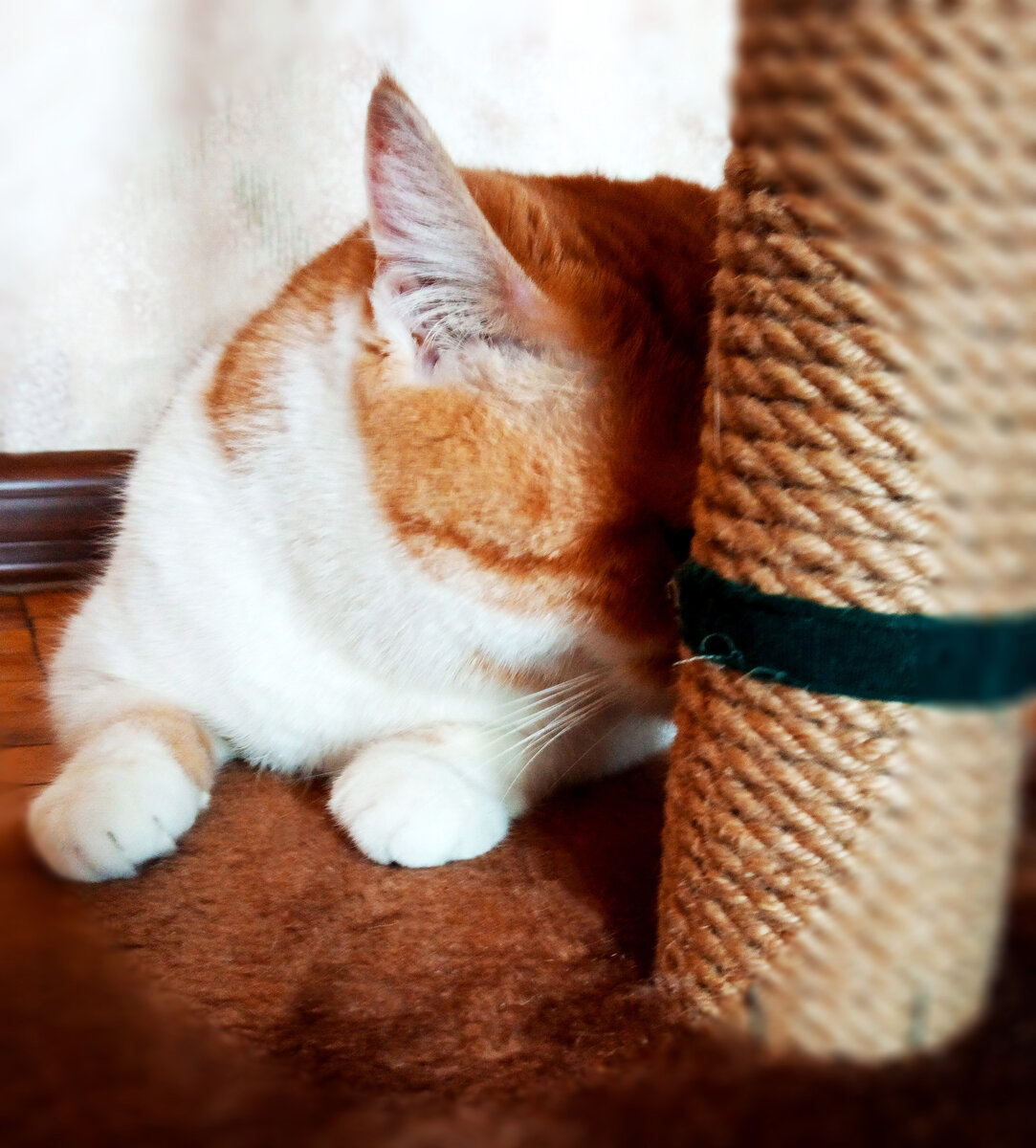 В прятки играть  —  грусти не знать!   