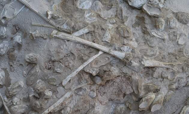 Фрагмент раскопок
Фото: nature.com