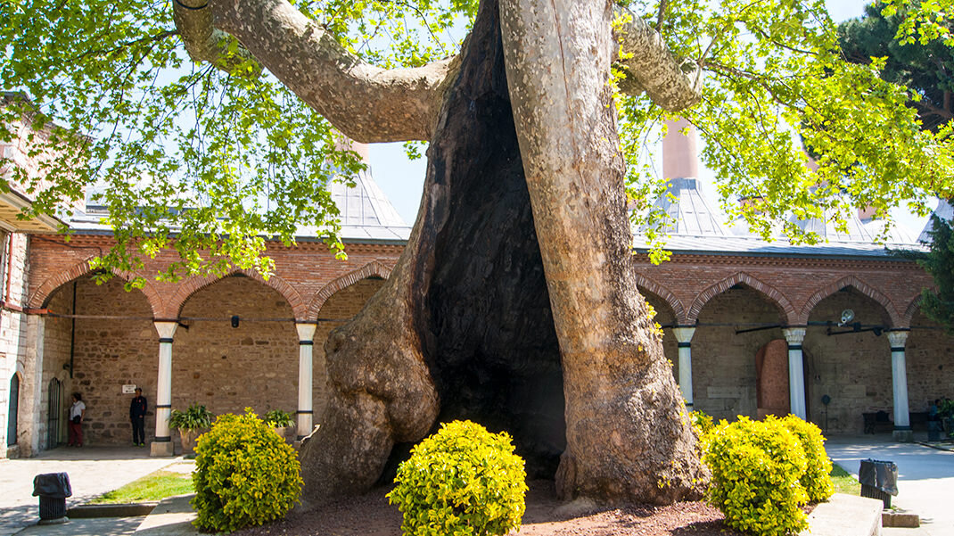 смута 400 лет назад. на протяжении 400 лет. на протяжении 400 лет. концентрация co2 в атмосфере. питер пауль рубенс портрет герцога букингемского.