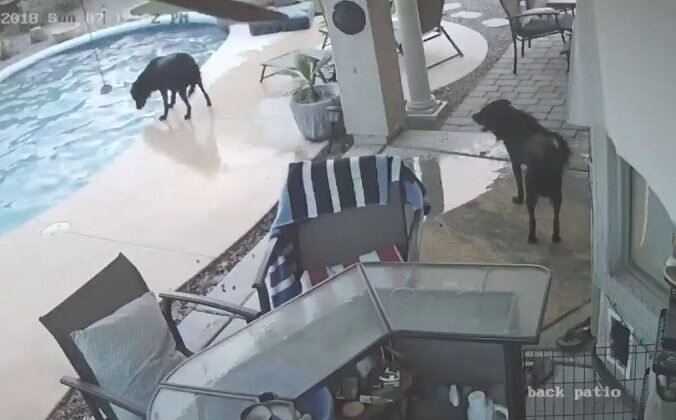 Скриншот/Laurie Sorsen Becerra/facebook.com