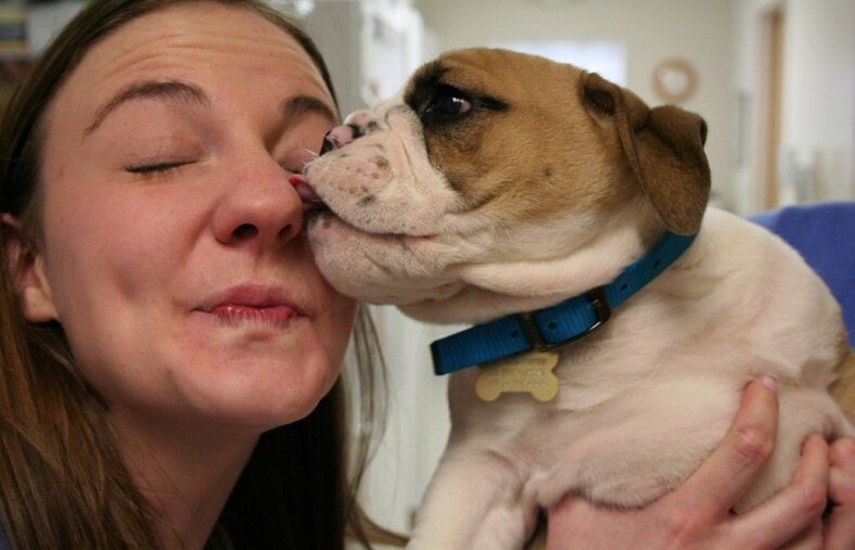 Фото: Flickr.com / Cuyahoga Falls Veterinary Clinic in Cuyahoga Falls