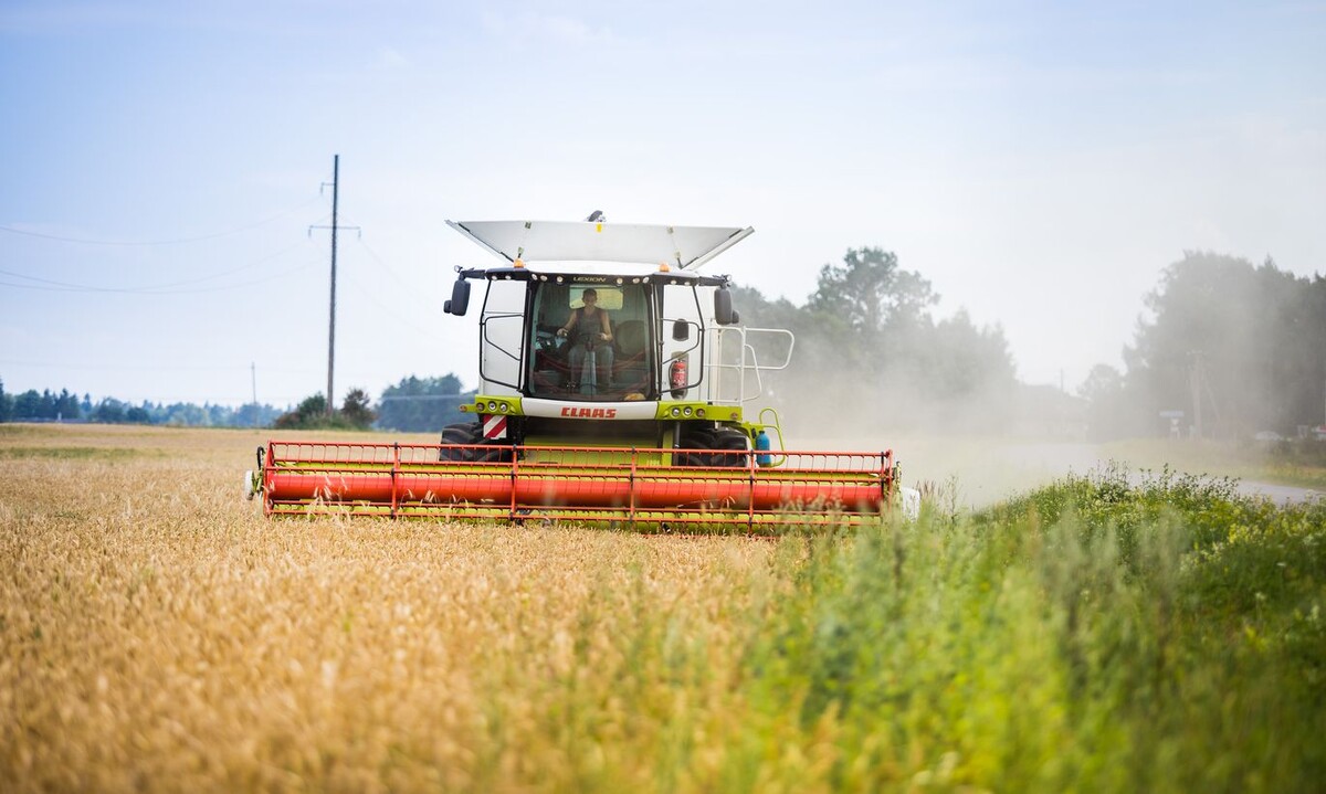 Источник: https://clck.ru/DzAWU