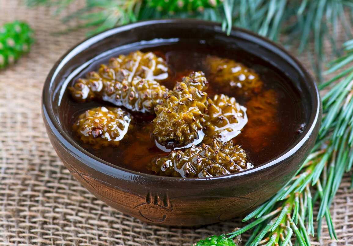 Варенье из сосновых шишек! Не только полезно, но и вкусно! | Человек и Мир  | Дзен