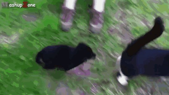 -15