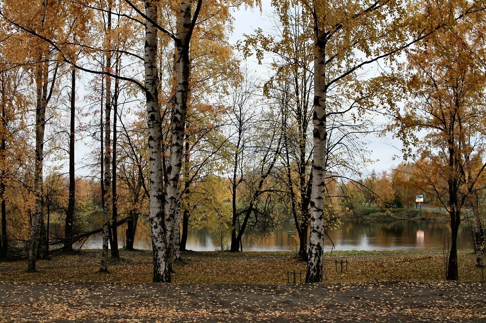 Река Лососинка перед плотиной (Пименовский мост).