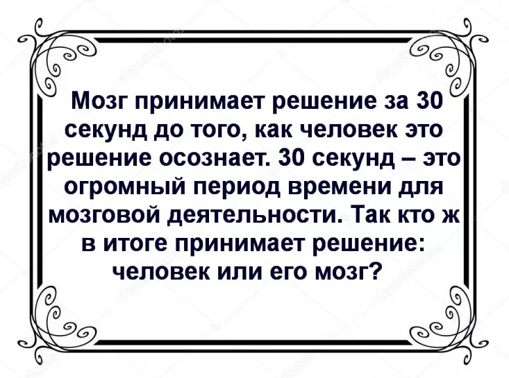 Факты про мозг