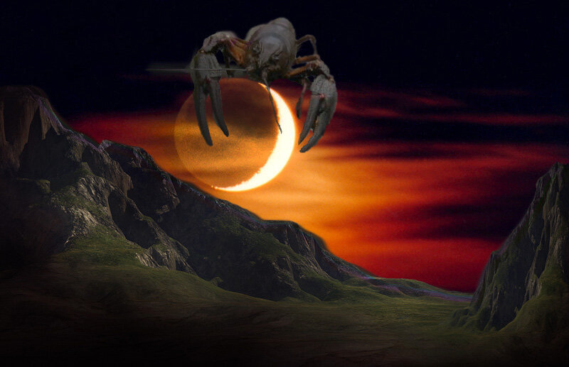 Источник фото https://yandex.ru