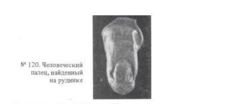 Фотографическое изображение пальца, обнаруженного Н.А. Соколовым.