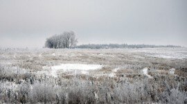 Калужское предприятие наказали за уничтожение почвы