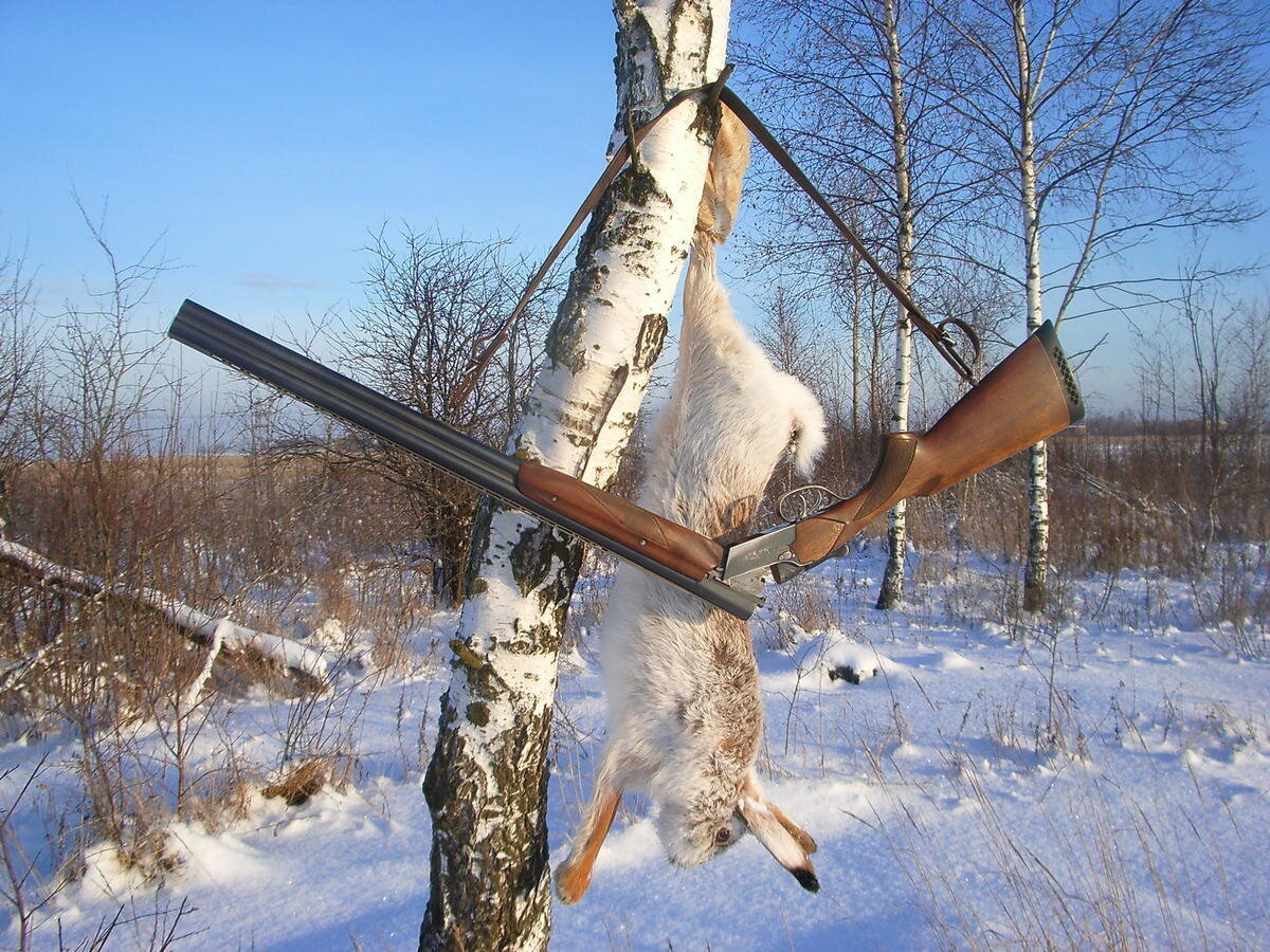 АВТОР СТАТЬИ: ГЕННАДИЙ СУХАНИН