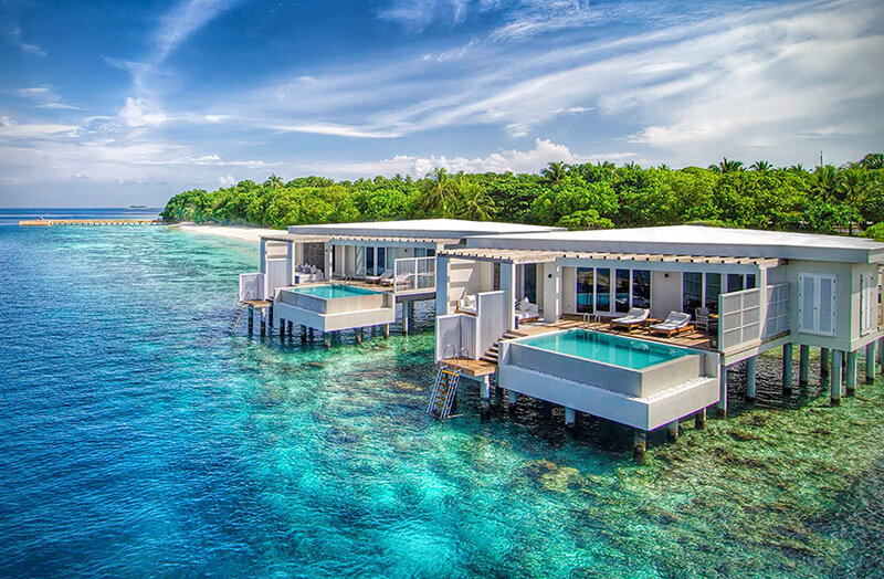 Фото домашнего рифа в отеле Amila Fushi. Виллы Ocean Reef House.